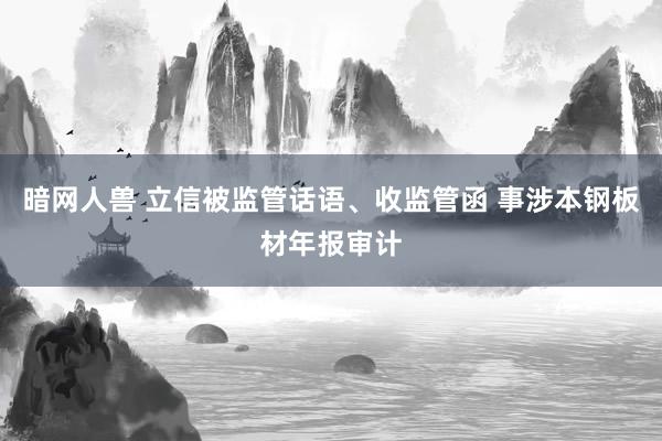 暗网人兽 立信被监管话语、收监管函 事涉本钢板材年报审计