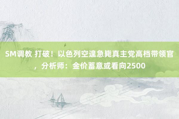 SM调教 打破！以色列空遑急毙真主党高档带领官，分析师：金价蓄意或看向2500