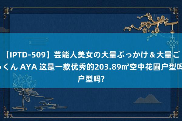 【IPTD-509】芸能人美女の大量ぶっかけ＆大量ごっくん AYA 这是一款优秀的203.89㎡空中花圃户型吗?