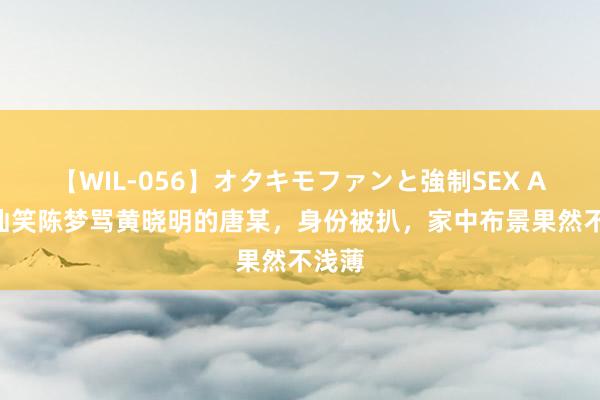 【WIL-056】オタキモファンと強制SEX AYA 讪笑陈梦骂黄晓明的唐某，身份被扒，家中布景果然不浅薄