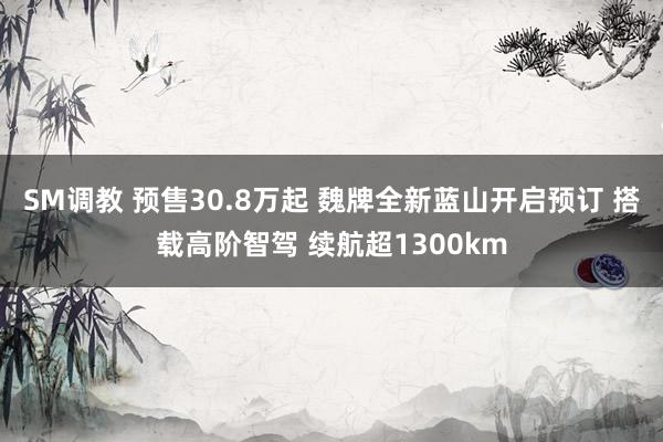 SM调教 预售30.8万起 魏牌全新蓝山开启预订 搭载高阶智驾 续航超1300km