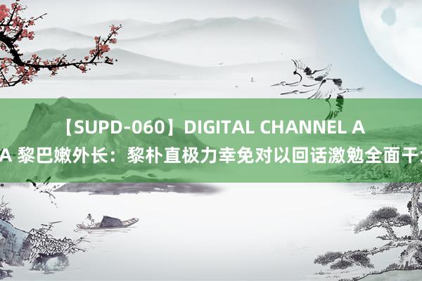 【SUPD-060】DIGITAL CHANNEL AYA 黎巴嫩外长：黎朴直极力幸免对以回话激勉全面干戈