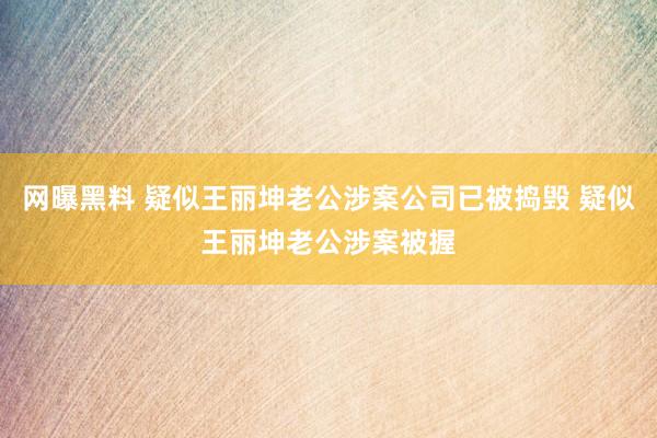 网曝黑料 疑似王丽坤老公涉案公司已被捣毁 疑似王丽坤老公涉案被握