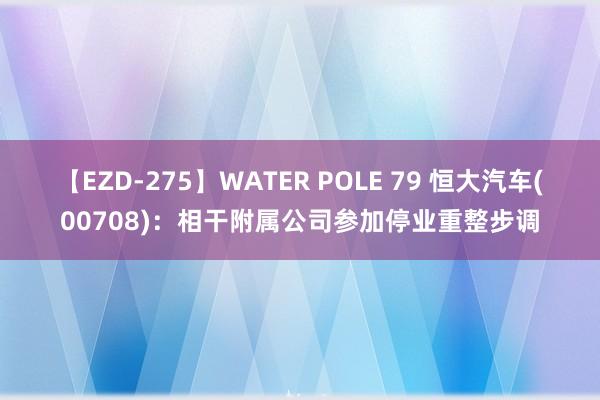 【EZD-275】WATER POLE 79 恒大汽车(00708)：相干附属公司参加停业重整步调