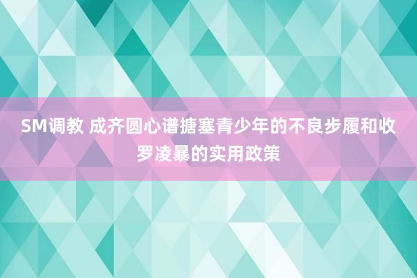 SM调教 成齐圆心谱搪塞青少年的不良步履和收罗凌暴的实用政策