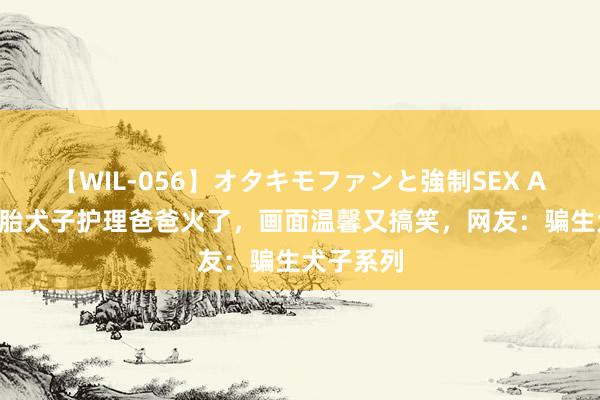 【WIL-056】オタキモファンと強制SEX AYA 三胞胎犬子护理爸爸火了，画面温馨又搞笑，网友：骗生犬子系列