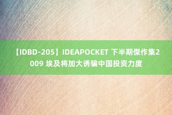 【IDBD-205】IDEAPOCKET 下半期傑作集2009 埃及将加大诱骗中国投资力度