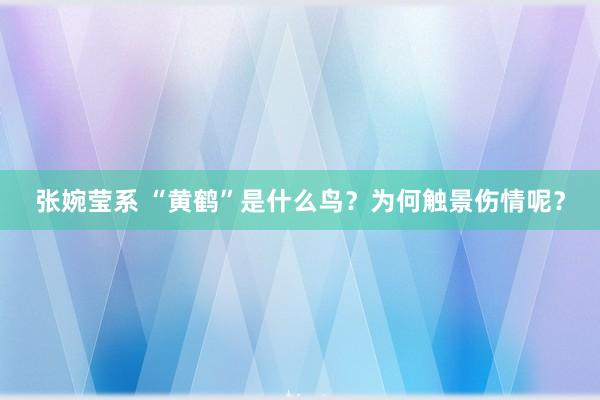 张婉莹系 “黄鹤”是什么鸟？为何触景伤情呢？