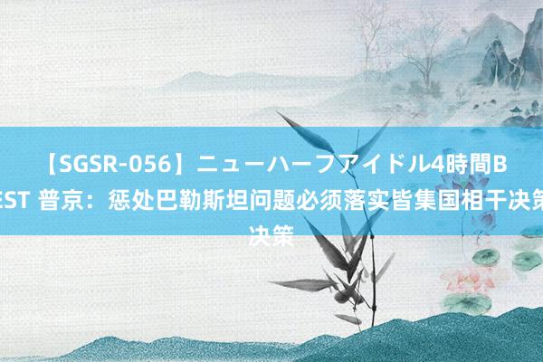 【SGSR-056】ニューハーフアイドル4時間BEST 普京：惩处巴勒斯坦问题必须落实皆集国相干决策