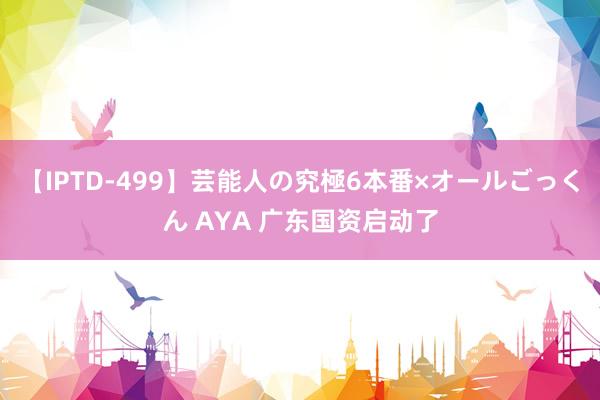 【IPTD-499】芸能人の究極6本番×オールごっくん AYA 广东国资启动了