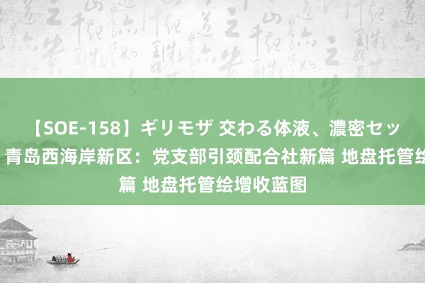 【SOE-158】ギリモザ 交わる体液、濃密セックス Ami 青岛西海岸新区：党支部引颈配合社新篇 地盘托管绘增收蓝图