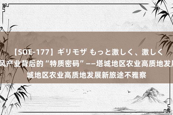 【SOE-177】ギリモザ もっと激しく、激しく突いて Ami 上风产业背后的“特质密码”——塔城地区农业高质地发展新旅途不雅察