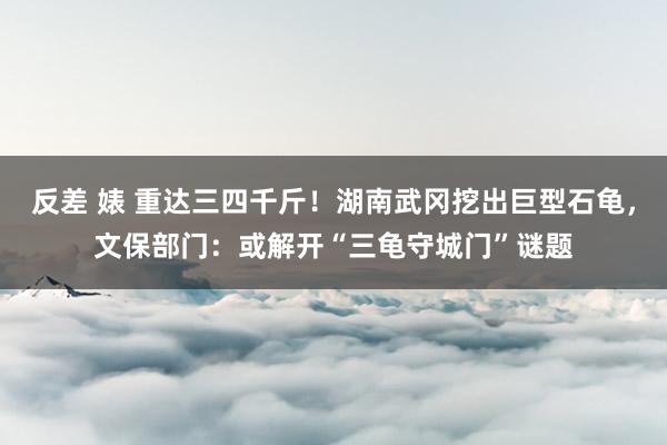 反差 婊 重达三四千斤！湖南武冈挖出巨型石龟，文保部门：或解开“三龟守城门”谜题