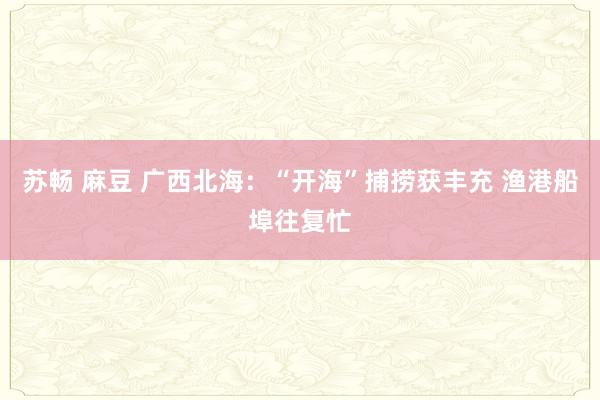 苏畅 麻豆 广西北海：“开海”捕捞获丰充 渔港船埠往复忙