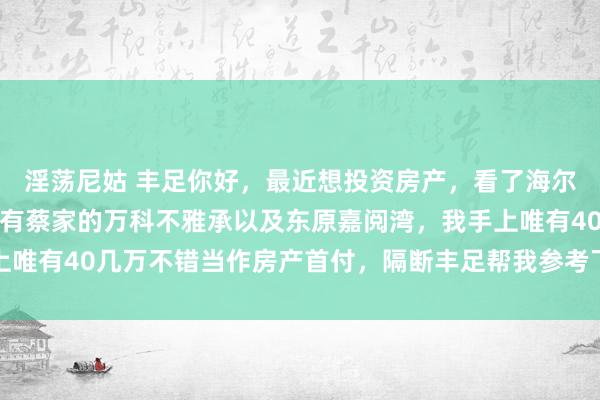 淫荡尼姑 丰足你好，最近想投资房产，看了海尔路的北大资源海樾府还有蔡家的万科不雅承以及东原嘉阅湾，我手上唯有40几万不错当作房产首付，隔断丰足帮我参考下那儿投资更妥当