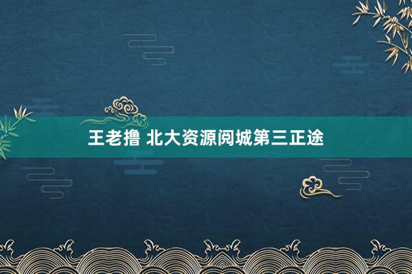 王老撸 北大资源阅城第三正途